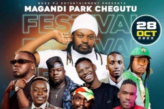 ChegutuFestival