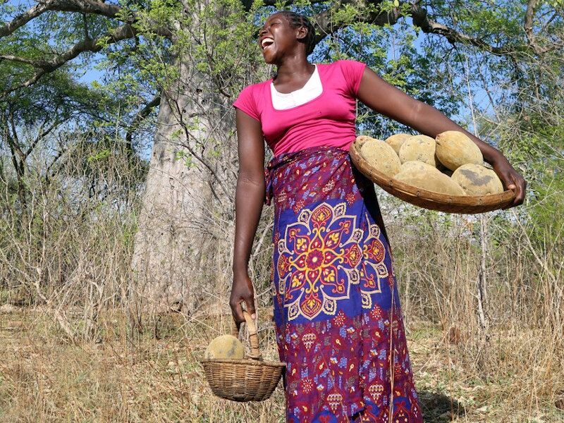 Baobab Fruits